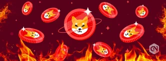 Shiba Inu Burn SHIB Price