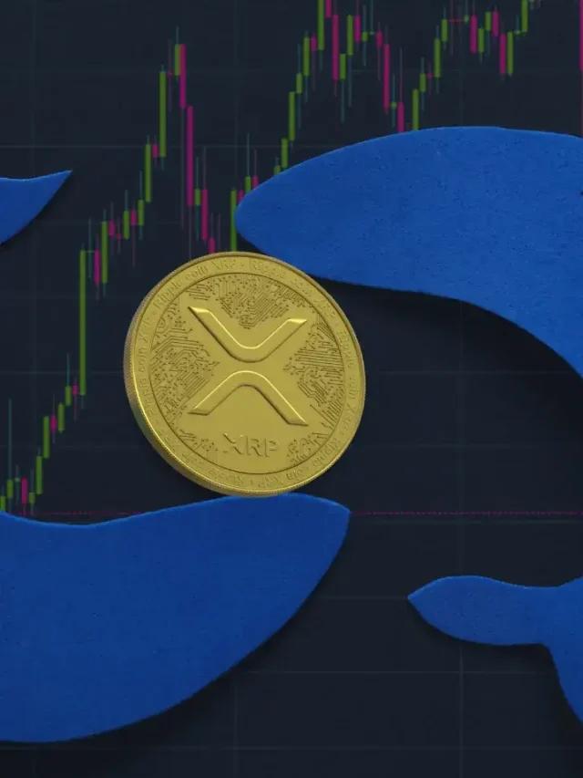 XRP Whale Moves 100 Million Tokens Amid Rising DEX Activity