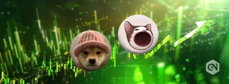 dogwifhat or popcat