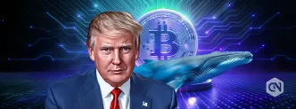 Effect of Donald Trump Winning US Presidential Elections Whales Begin Accumulating Bitcoin