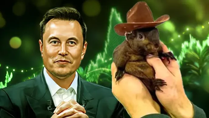 Musk is All “For PNut”: $PNUT Rises 28% Following Musk’s Tweet