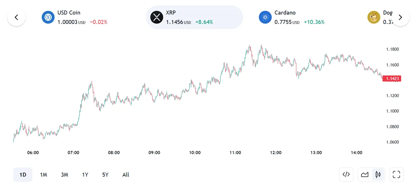 XRP 24 Hours Chart