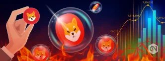 Shiba Inu Burn Rate Skyrockets 23265_, Shib Price to the Moon