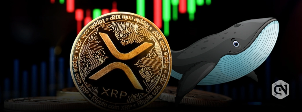 XRP Whale Snaps Up $27M XRP as Ripple Wins Major Motion in SEC Lawsuit