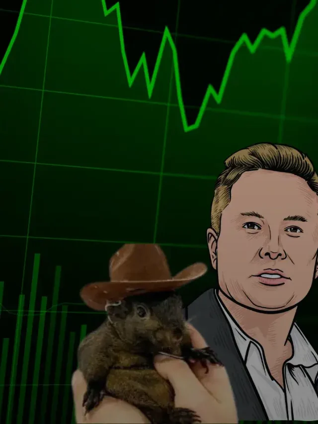 Elon Musk’s Retweet Boosts PNUT Token and Squirrel’s Legacy