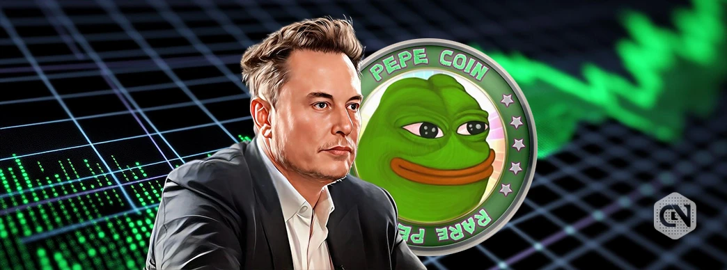 Elon Musk posted pepe 4 times in the last 24 hours, price rallies