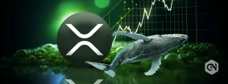 XRP Whale Buys the Dip with $52M XRP Raked in From Binance